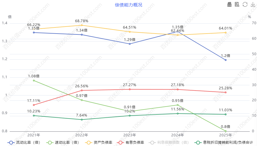 偿债能力概况 (cvl_dpao)