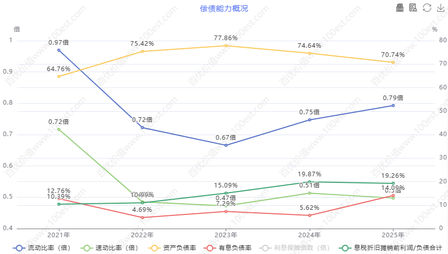 偿债能力概况 (cvl_dpao)