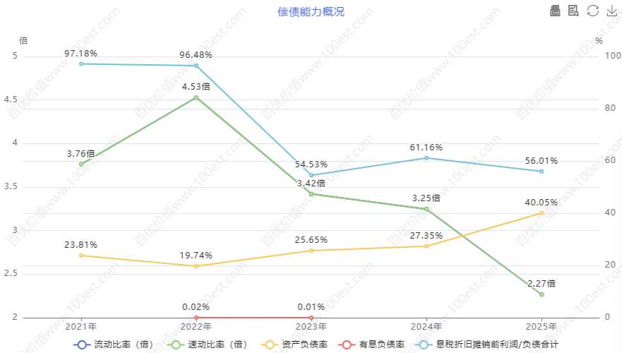 偿债能力概况 (cvl_dpao)
