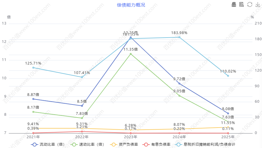 偿债能力概况 (cvl_dpao)