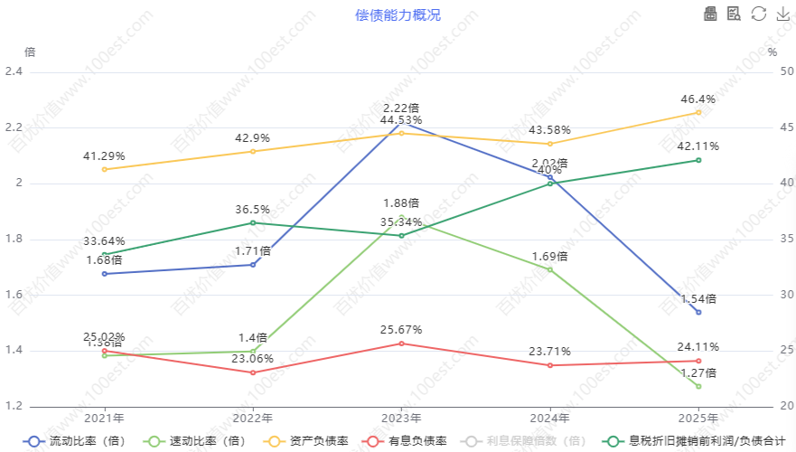 偿债能力概况 (cvl_dpao)