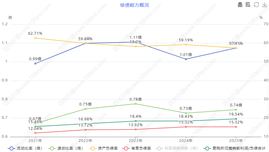 偿债能力概况 (cvl_dpao)