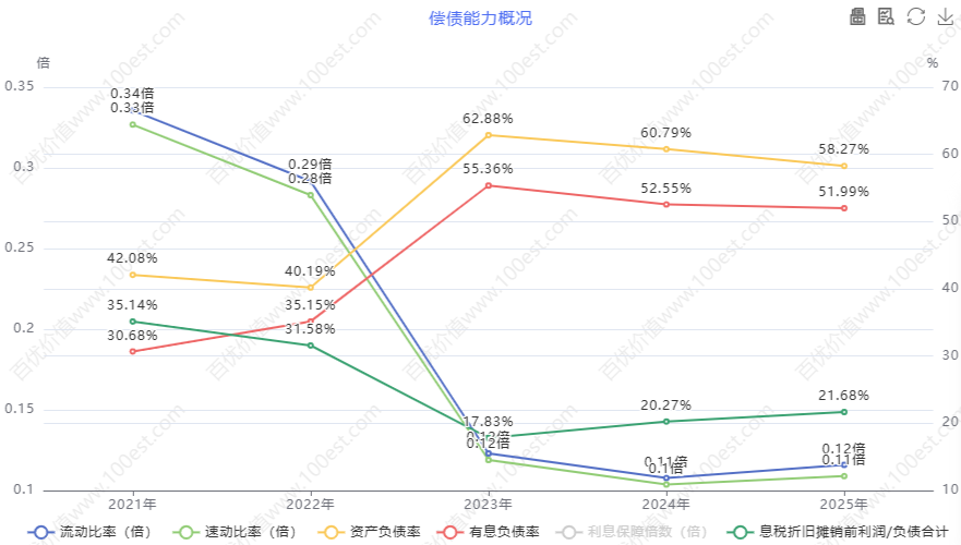 偿债能力概况 (cvl_dpao)